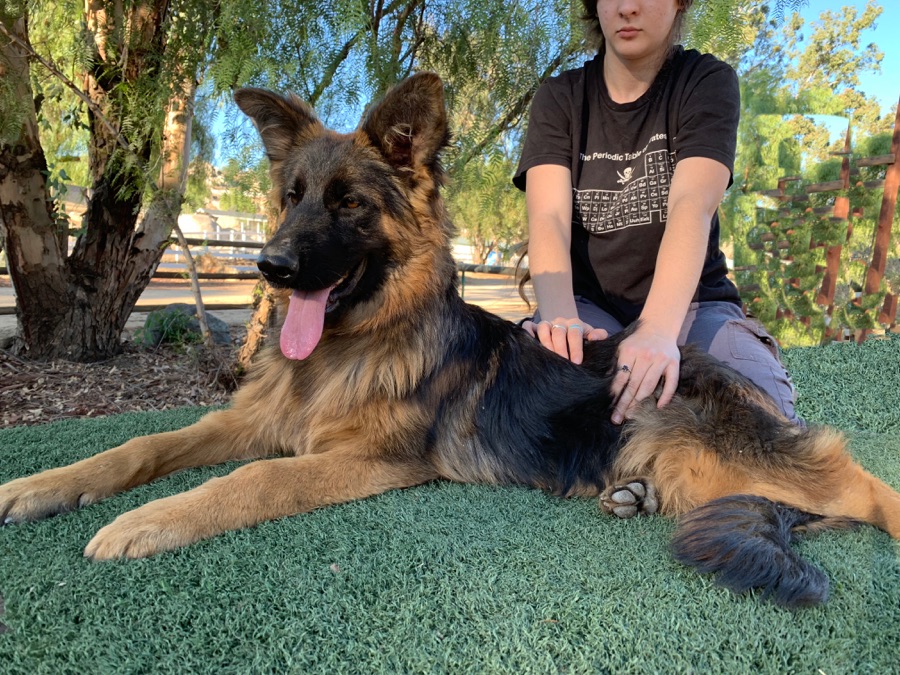Nala von Whitaker